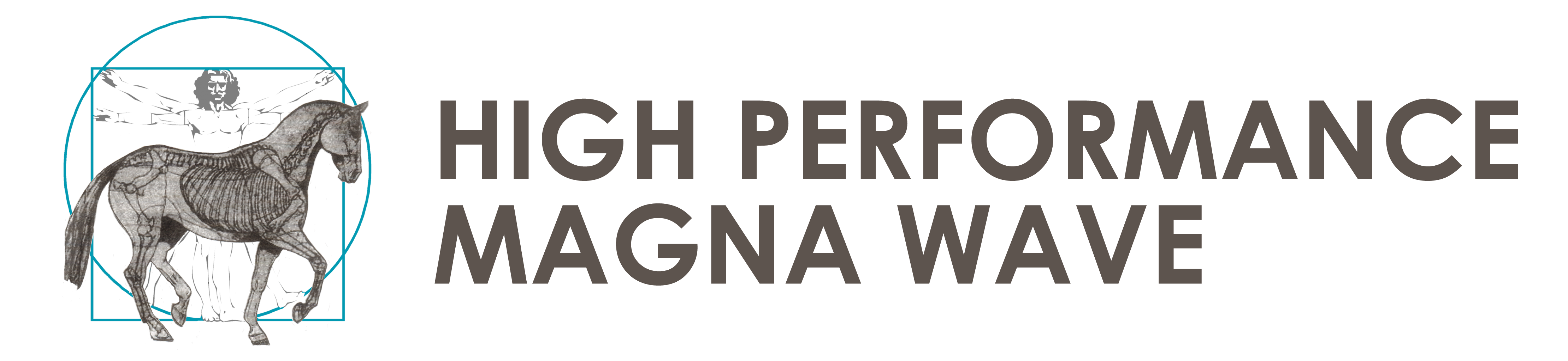 Certified Magna Wave Practitioner