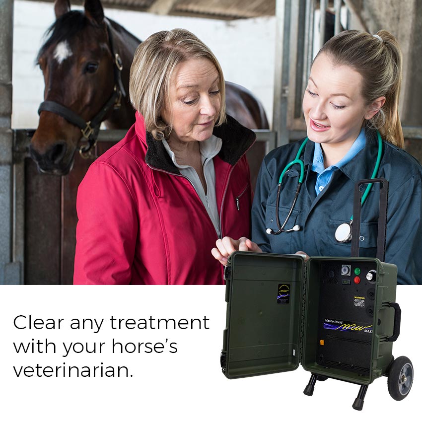 Treating Pregnant Mares with PEMF Therapy High Performance Therapeutics